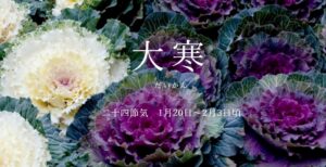 大寒